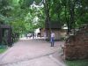 IMG_1120_1.jpg